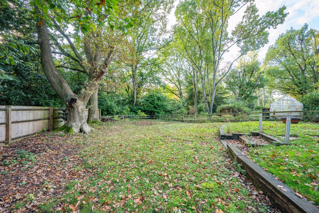 Rear Garden- click for photo gallery